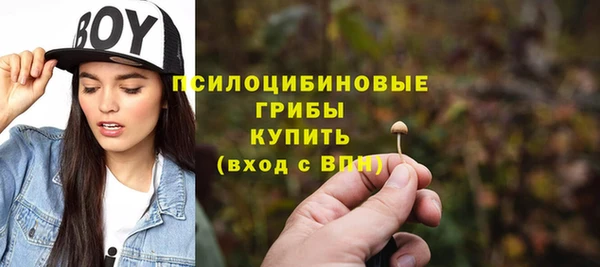 сатива Абинск