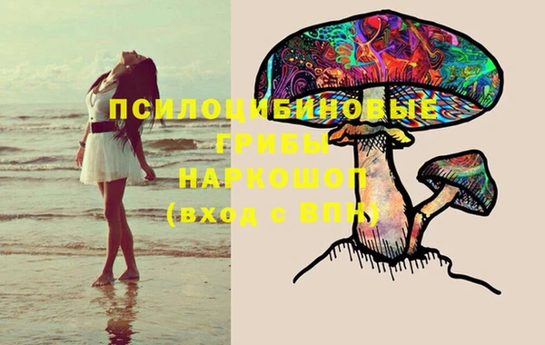 сатива Абинск