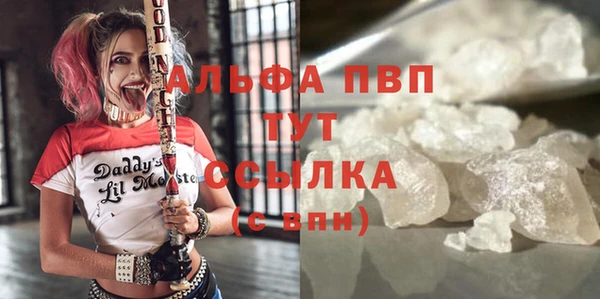 сатива Абинск